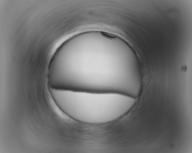 X0000110761523200906150918