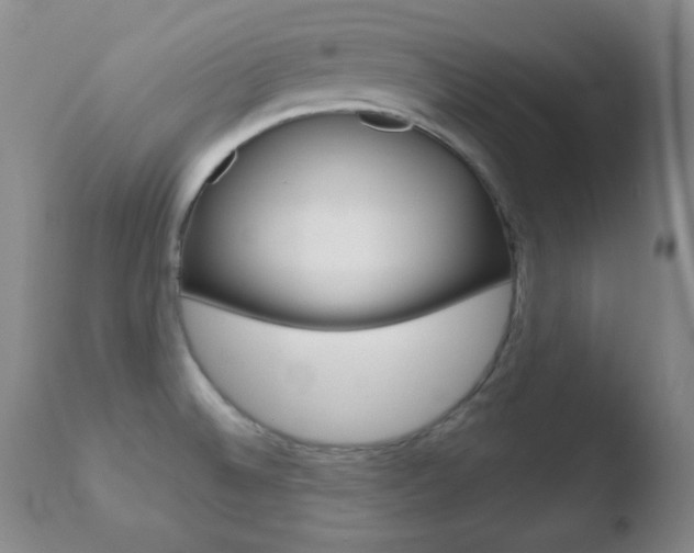 X0000110761524200906150918