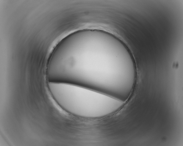X0000110761525200906150918