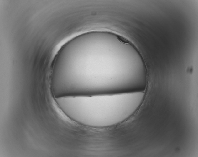 X0000110761526200906150918
