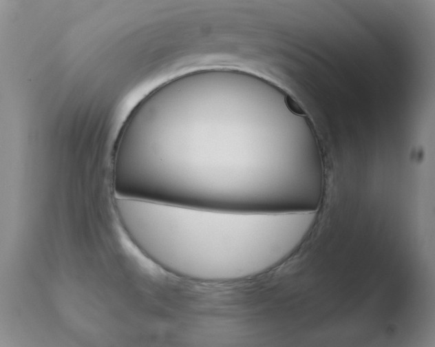 X0000110761527200906150918