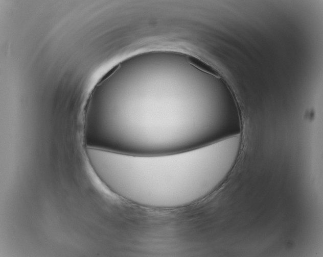 X0000110761528200906150918
