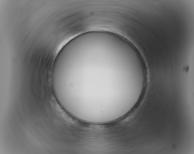 X0000110761529200906150918