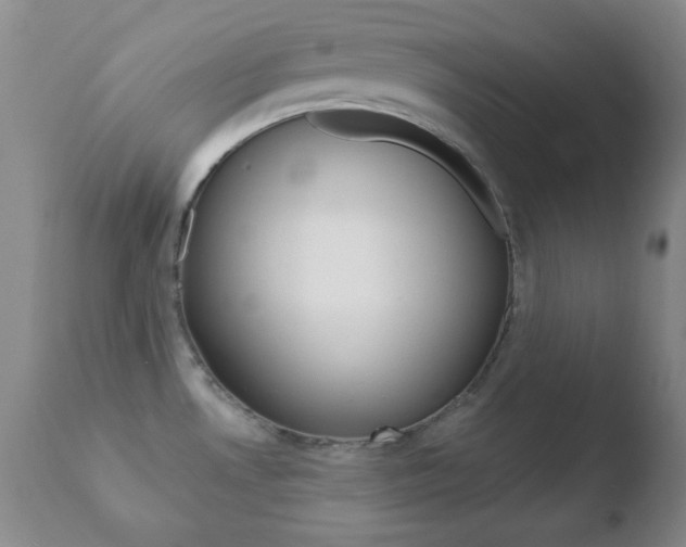 X0000110761530200906150918