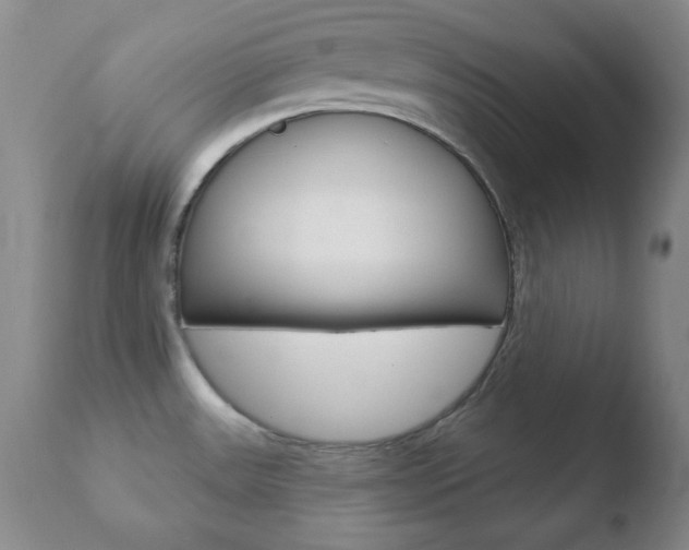 X0000110761531200906150918