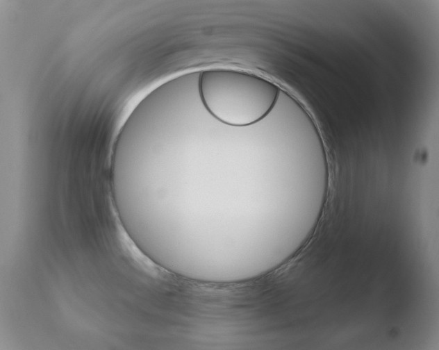 X0000110761532200906150918