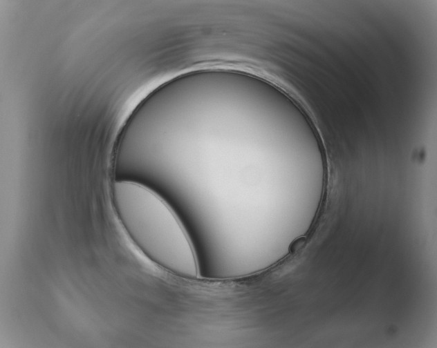 X0000110761533200906150918