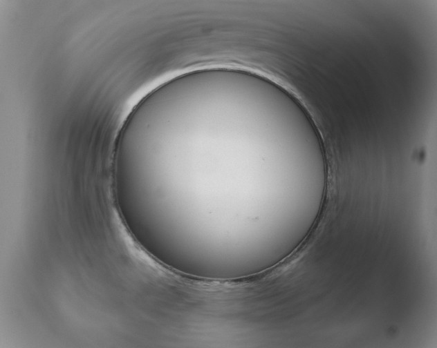 X0000110761534200906150918