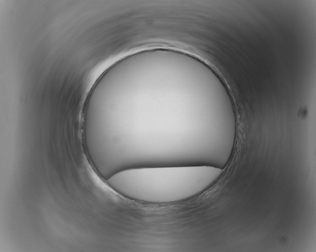 X0000110761535200906150918
