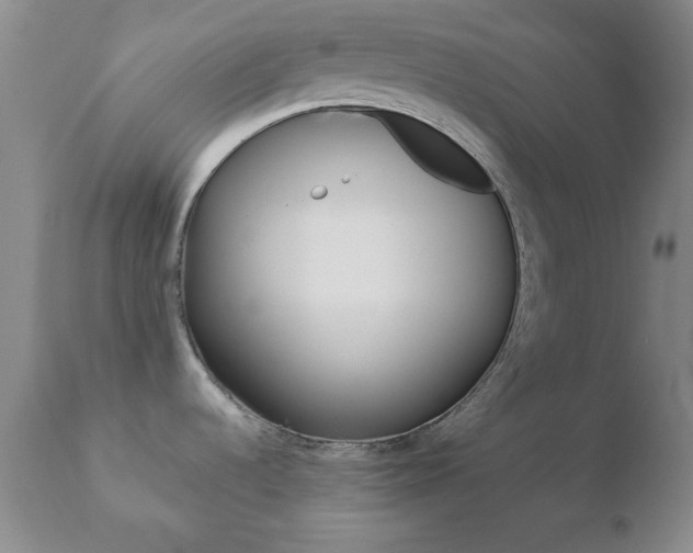 X0000110761536200906150918