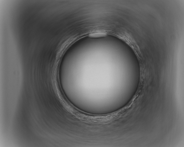 X0000110760001200906151315