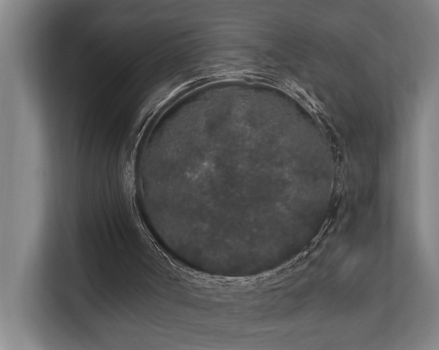 X0000110760002200906151315