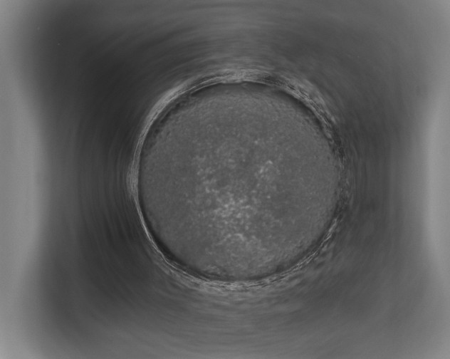 X0000110760003200906151315