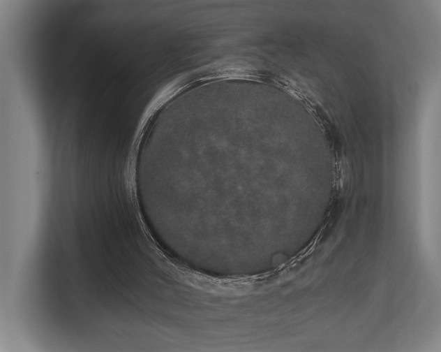 X0000110760004200906151315