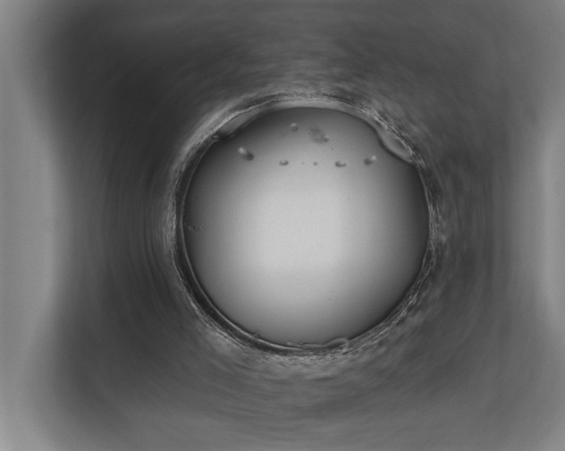 X0000110760005200906151315