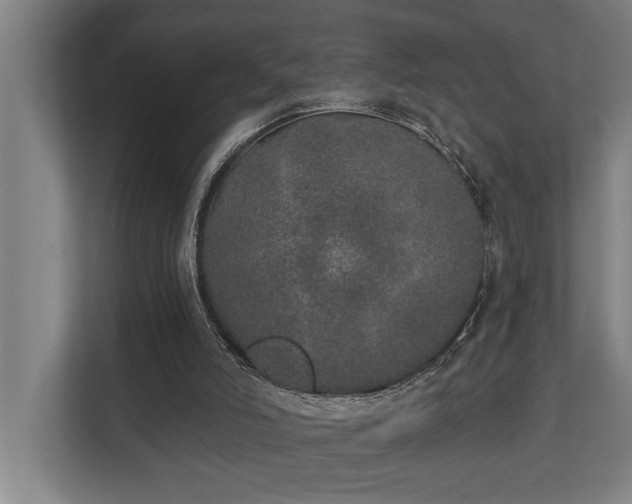 X0000110760006200906151315