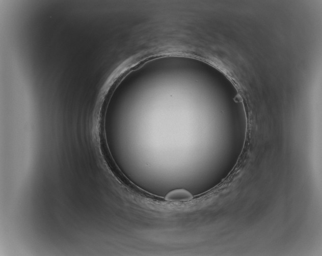 X0000110760007200906151315
