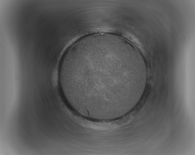 X0000110760012200906151315