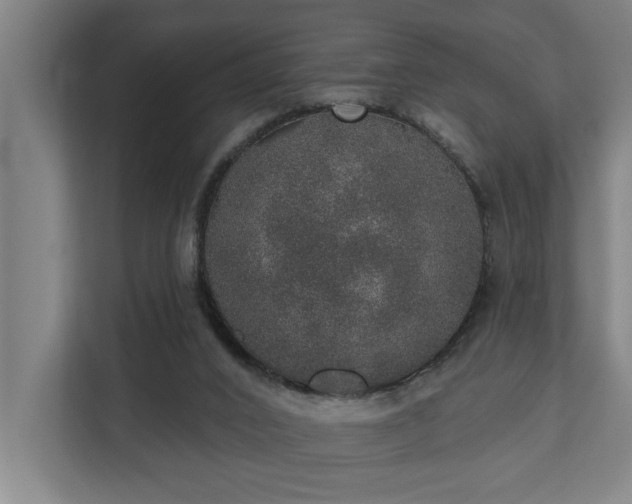 X0000110760016200906151315