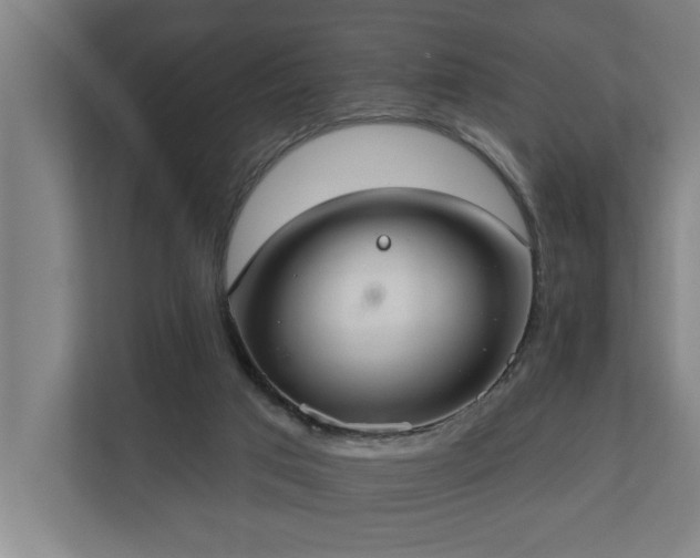 X0000110760017200906151315