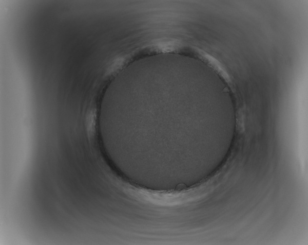 X0000110760018200906151315