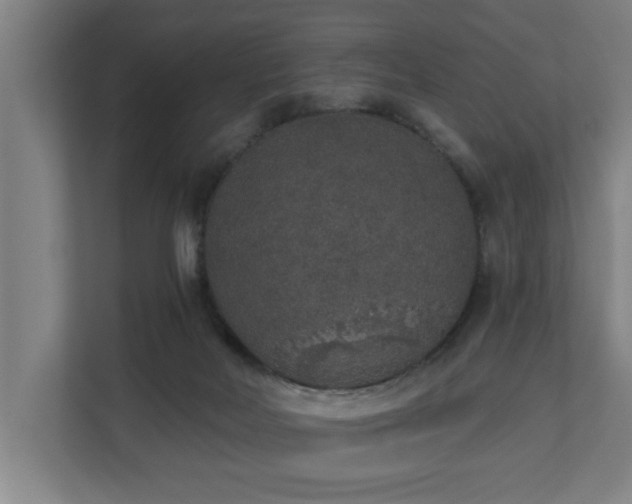 X0000110760026200906151315