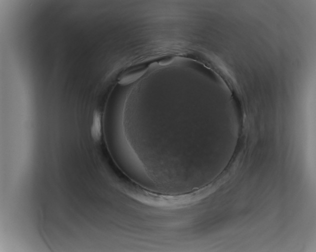 X0000110760027200906151315