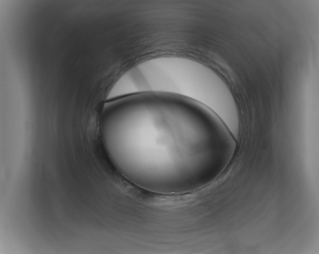 X0000110760029200906151314