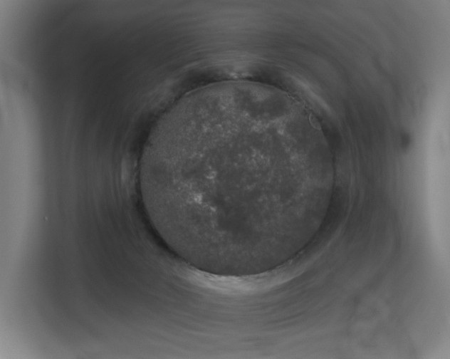 X0000110760030200906151314