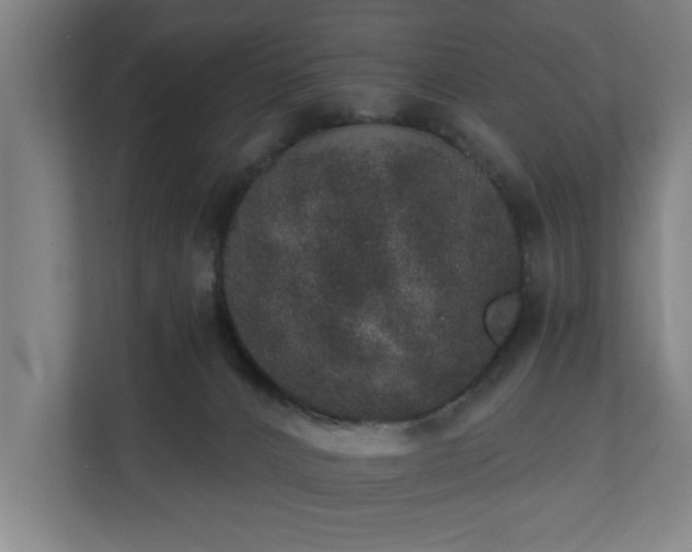 X0000110760032200906151314
