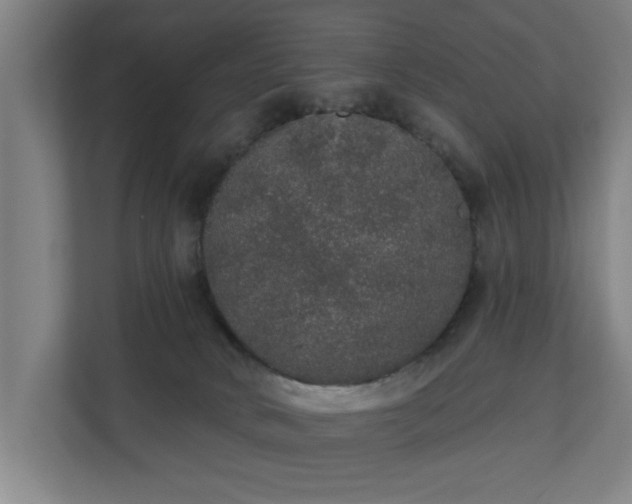 X0000110760034200906151314