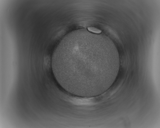 X0000110760036200906151314