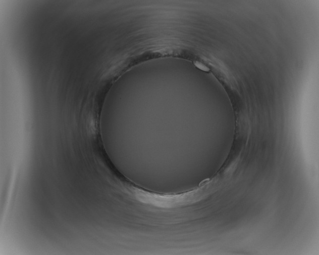 X0000110760039200906151314