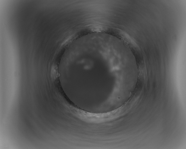 X0000110760043200906151314