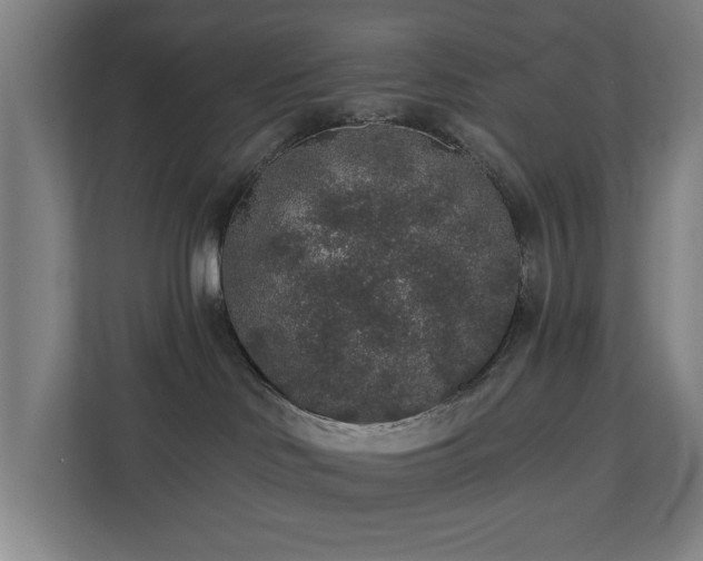 X0000110760046200906151314