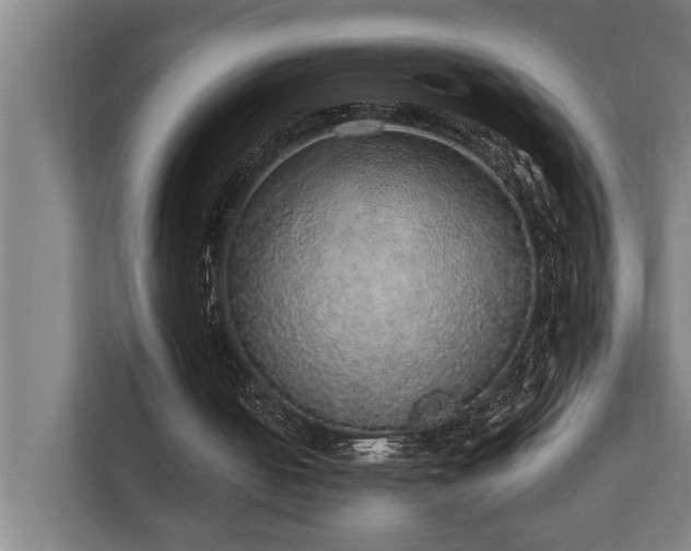 X0000110760050200906151314