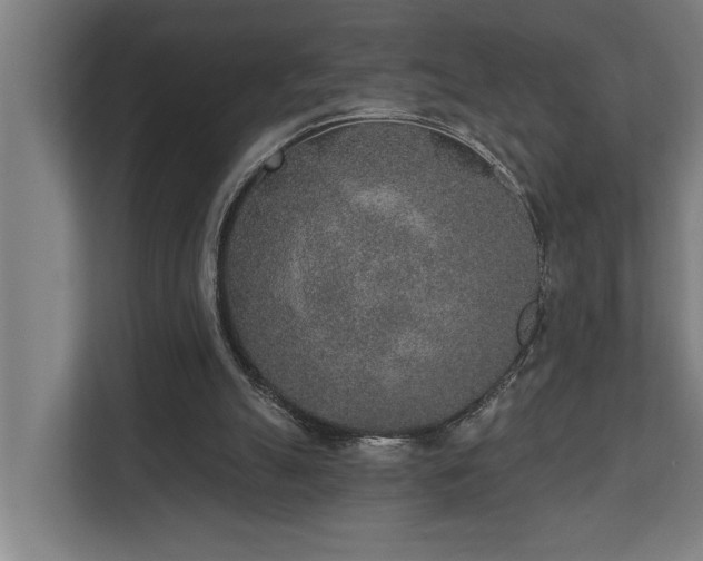 X0000110760055200906151314