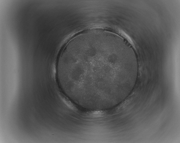 X0000110760059200906151314