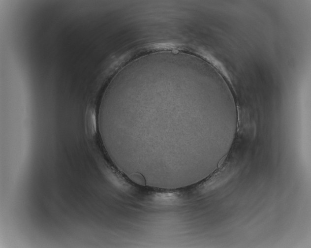 X0000110760061200906151314