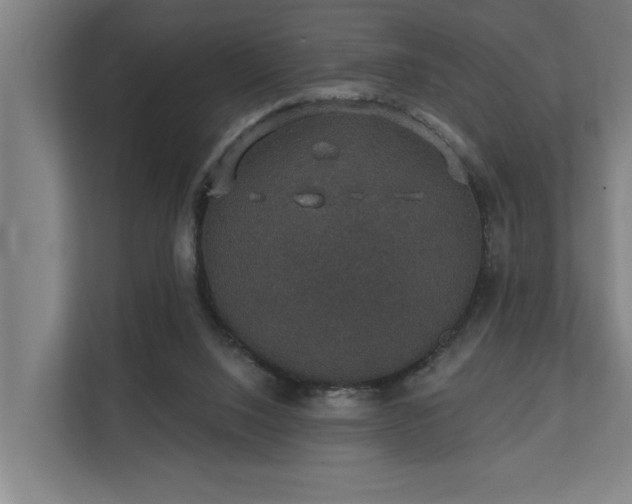 X0000110760064200906151314