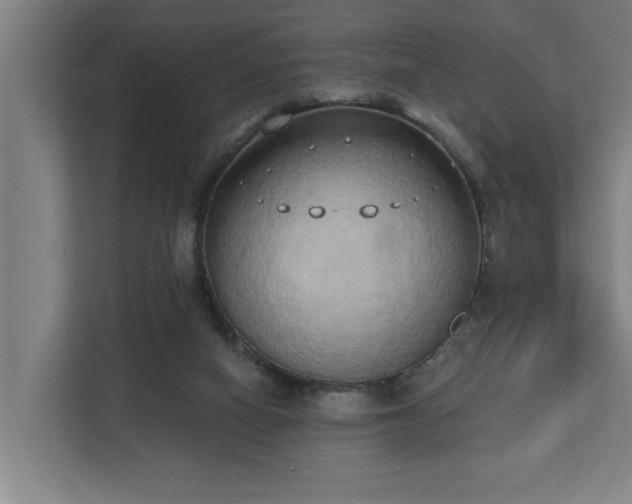 X0000110760066200906151314