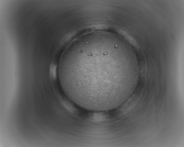 X0000110760070200906151314