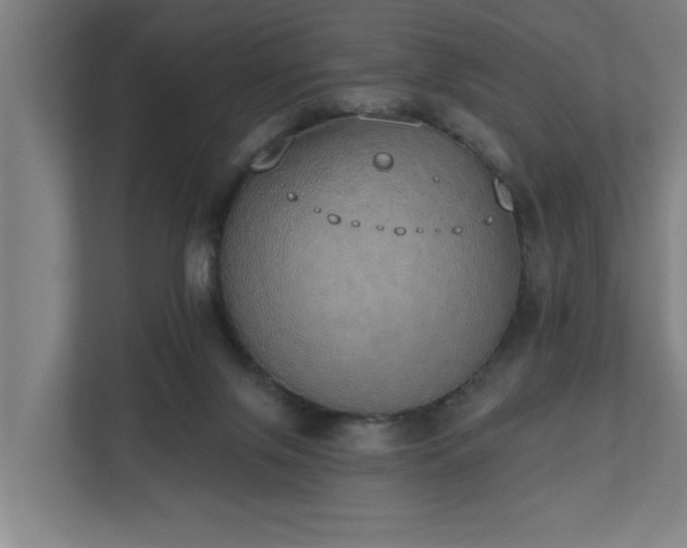 X0000110760071200906151314