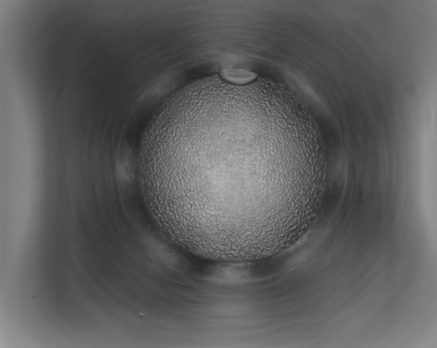X0000110760078200906151314