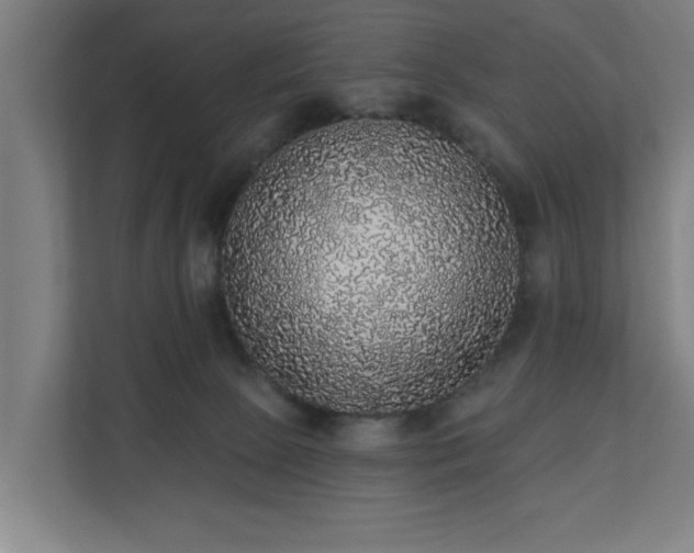 X0000110760081200906151314