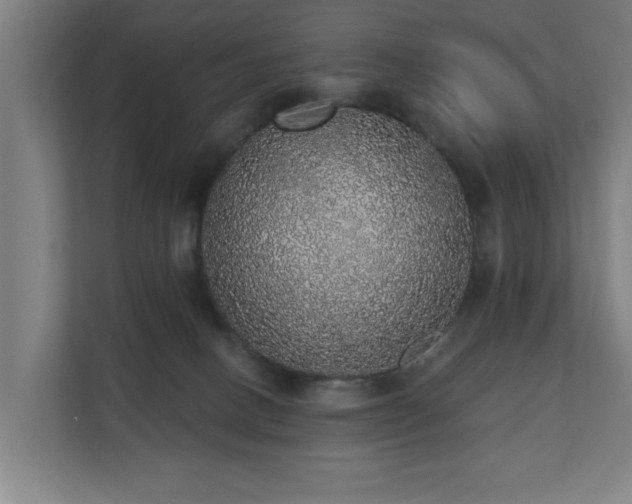 X0000110760082200906151314