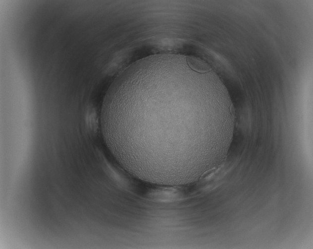 X0000110760086200906151314