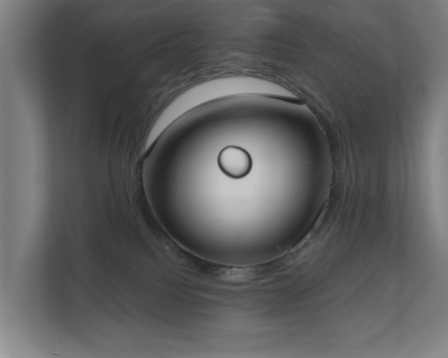 X0000110760088200906151314