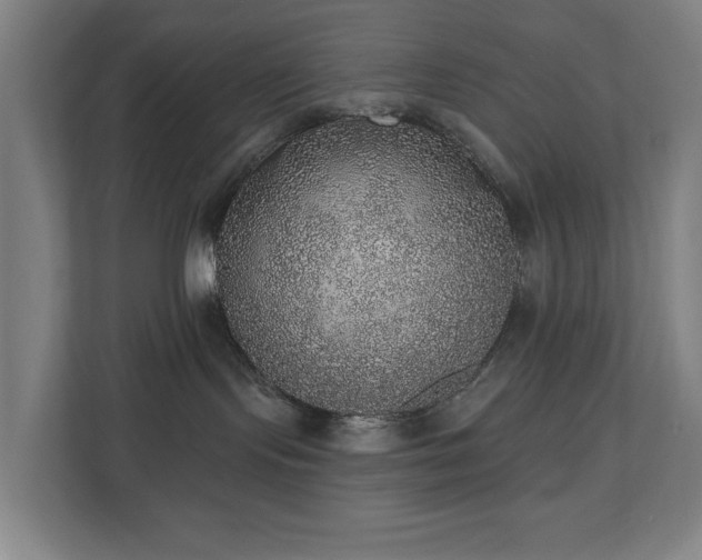 X0000110760095200906151314