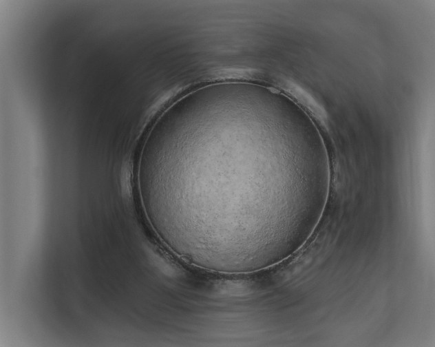X0000110760107200906151313